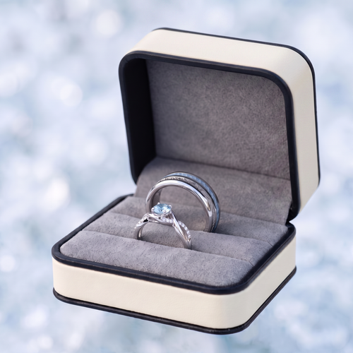 Aurora™ Case